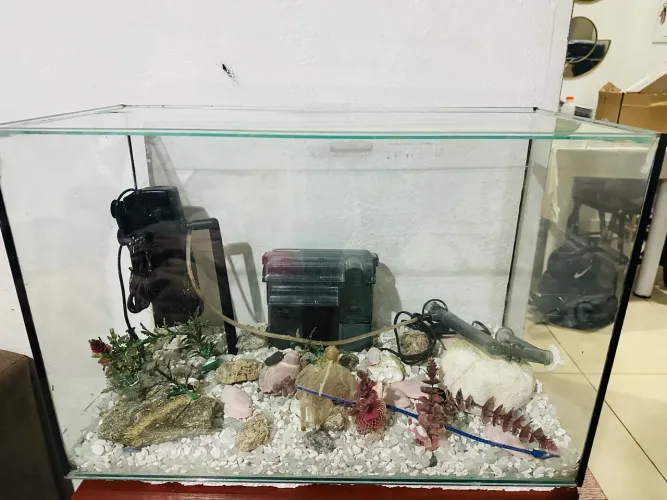 Aquário de 72 Litros Completo - Pronto para Uso