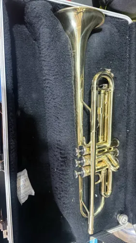TROMPETE DOMINANTE SIB