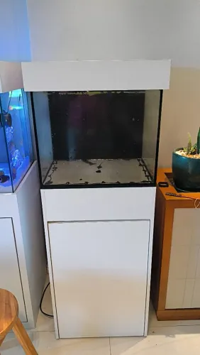 Aquário 50x50x40 100 litros, sump traseiro, com bomba e skimmer