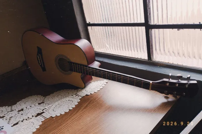 Violão