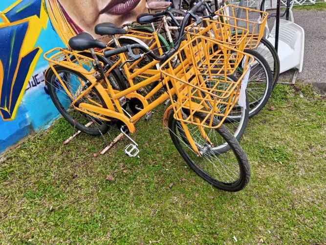 Bicicleta com cesto
