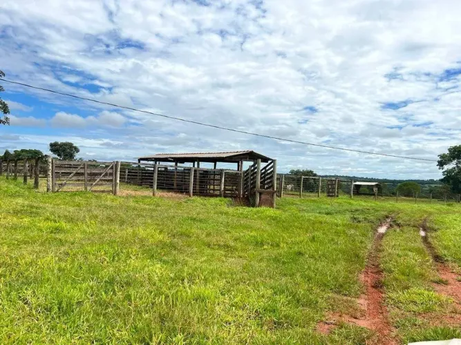 Ótima fazenda para agricultura e pecuária no Prata-MG