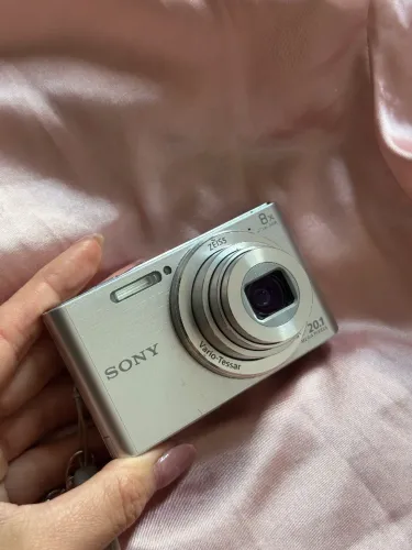 Sony W830
