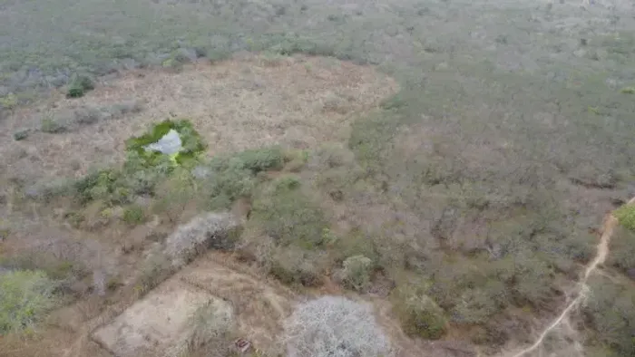 Excelente fazenda com 220 hectares em Bento Fernandes