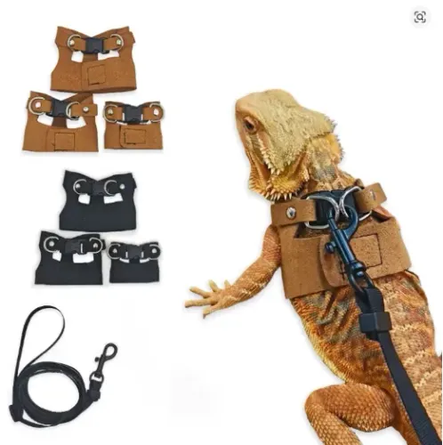 Coleira para Repteis 3 peças (Pogona, Iguana)