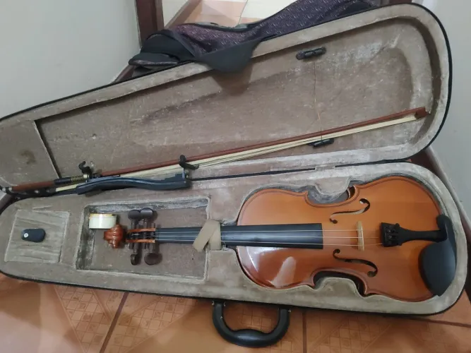Vendo violino