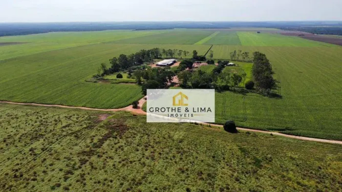 Fazenda à venda na Região de Pedro Afonso/TO