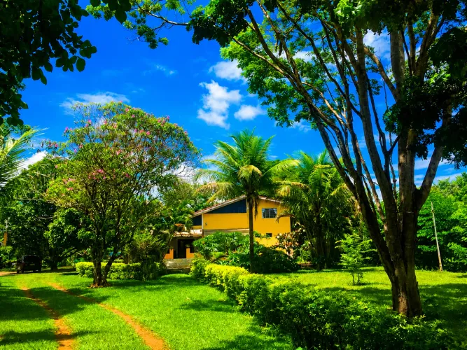 CHÁCARA COM 5.000m² | PISCINA, POMAR E ESTRURA PRONTA PARA MORAR OU LAZER