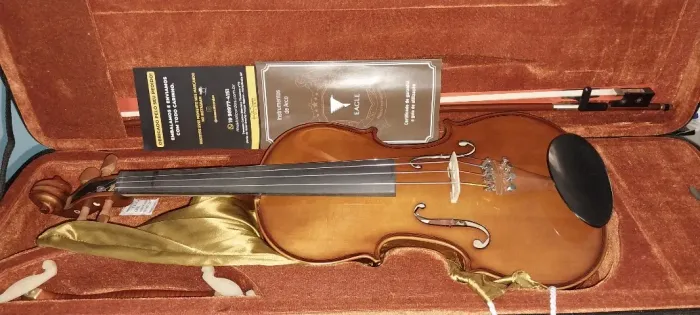 Violino Eagle 441 + Arco Ajustado Luthier (pouquíssimo usado)