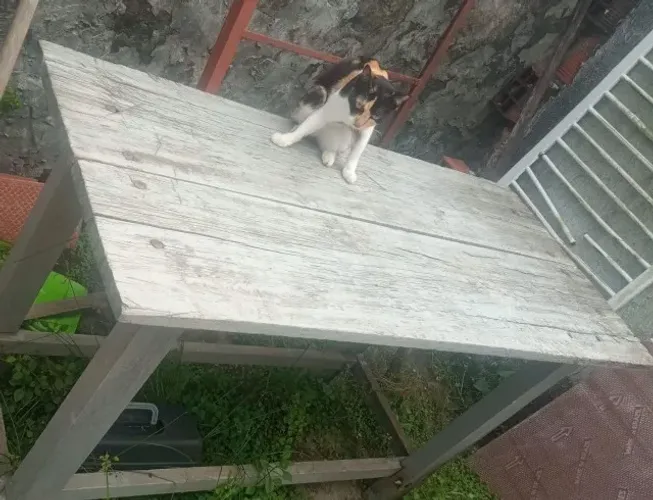 Mesa de Madeira Pura Para Profissionais