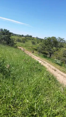 Fazenda à venda, zona rural, São Miguel do Passa Quatro, GO