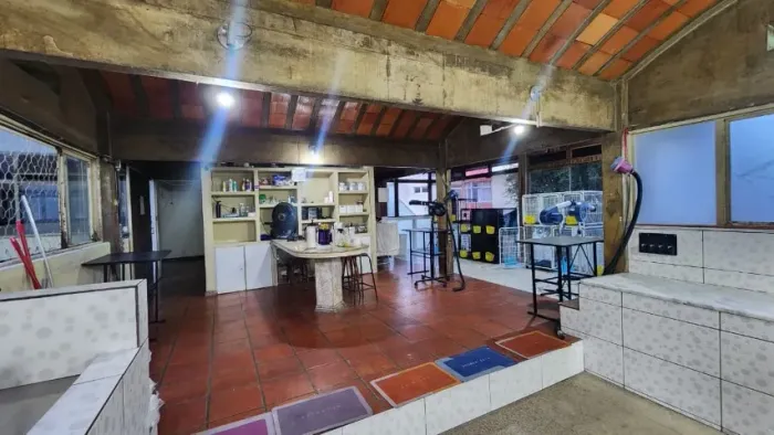 Clínica Veterinária Completa à Venda - Estrutura para Atendimento, Petshop e Internação