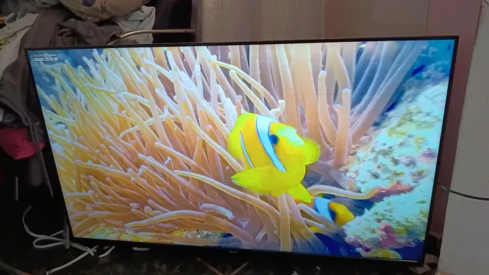 TV Philips 50 smart 4K detalhes