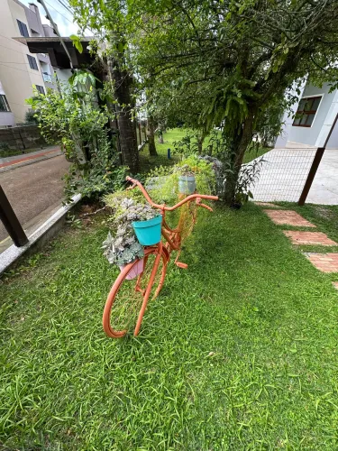 Bicicleta decorativa, todas as plantas são reais