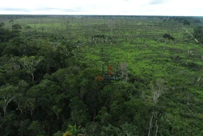 Fazenda com 2 dormitórios à venda, 7018000 m² - Zona Rural - Machadinho D'Oeste/RO
