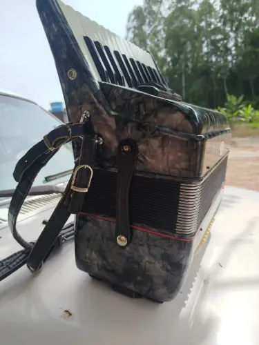 Gaita, acordeon, sanfona 