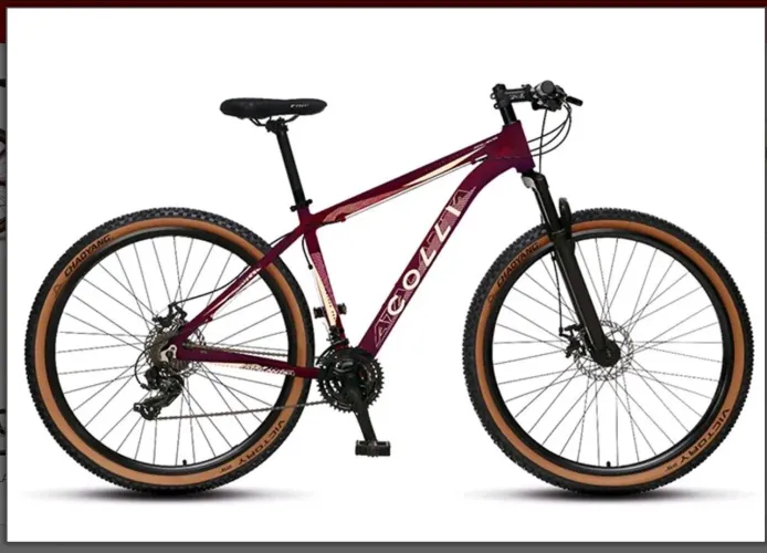 BIKE COLLI ARO 19