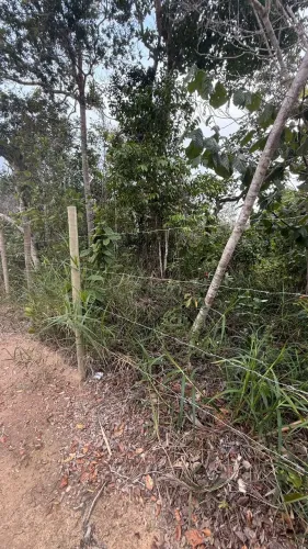 Terreno / Bairro Pedra Azul / Arraial d`Ajuda