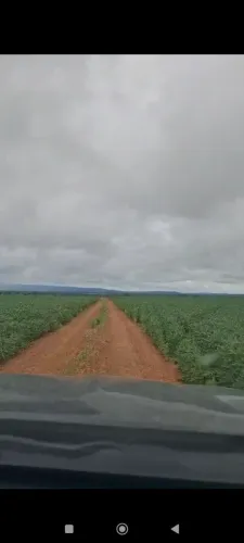Fazenda de arrendamento 870 hec em bom jardim de Goiás.