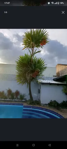 Jardineiro