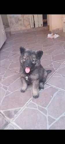 Vende se 