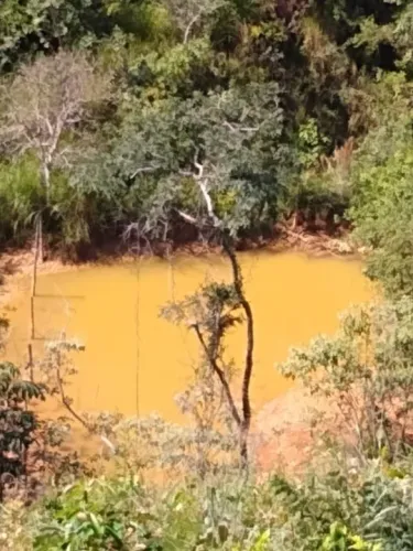 Chácara 20.000 m², plano, riacho nos fundos, terra fértil. Jaboticatubas.