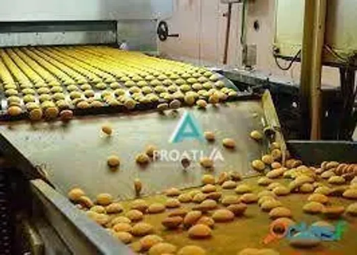 Fabrica de Biscoitos e Salgadinhos em Diadema