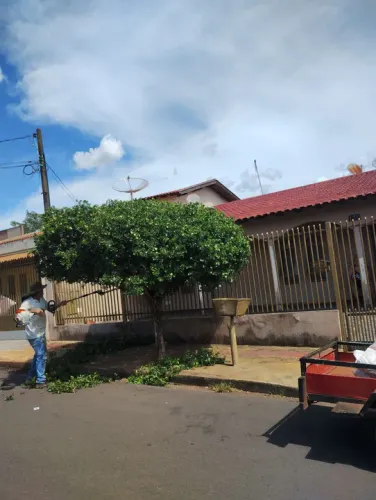 Jardinagem