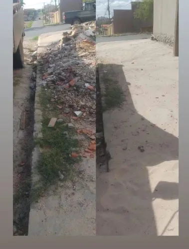 Remoção de entulhos ( Limpeza em geral);