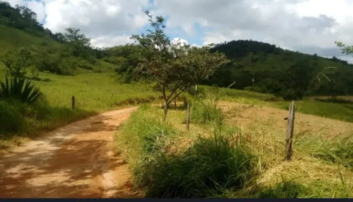 Simão Pereira - MG - Fazenda com 17 alqueires 