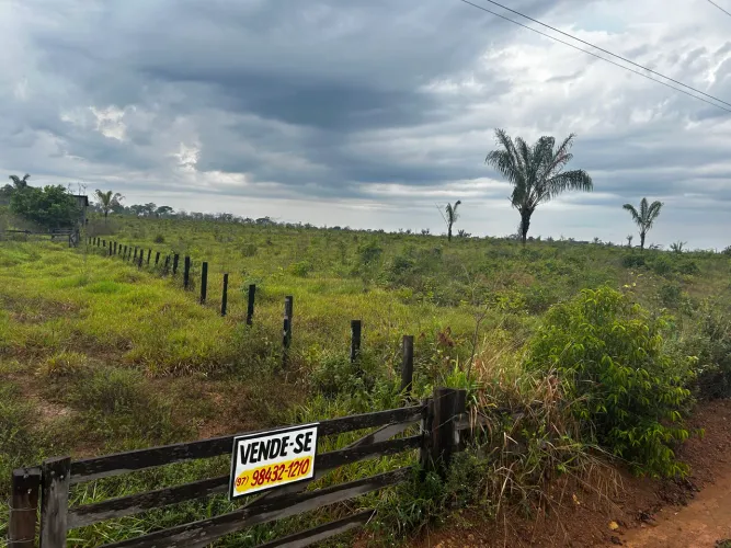 ÁREA DE FAZENDA 451 HECTARES NA BEIRA DA BR - APUÍ - AM