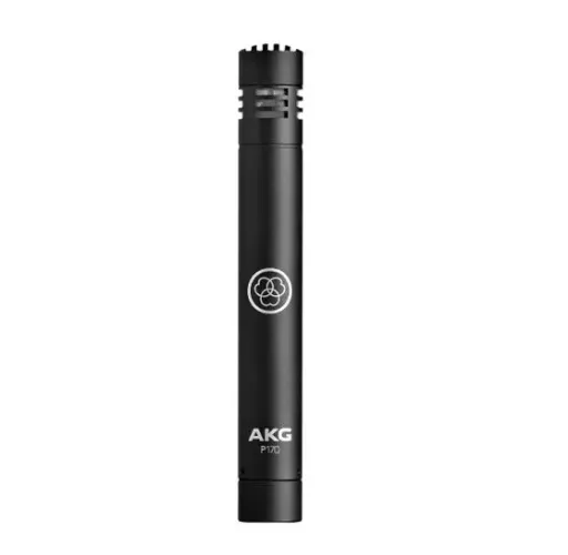 Mic condensador AKG P170