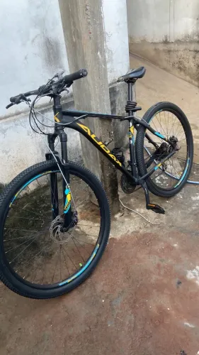 Bicicleta Audax