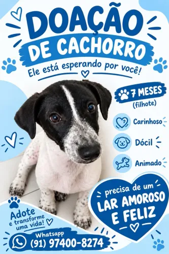 CACHORRO FILHOTE