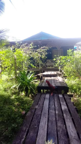 Vendo Terreno de 22 Hectares