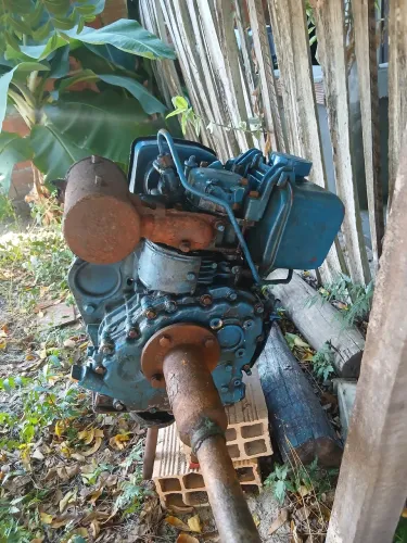 Motor para canoa