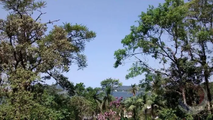 Terreno para Venda em Florianópolis, Lagoa Da Conceição