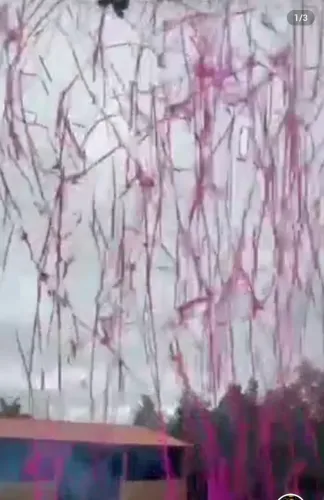 2 tubos de serpentina rosa para chá revelação