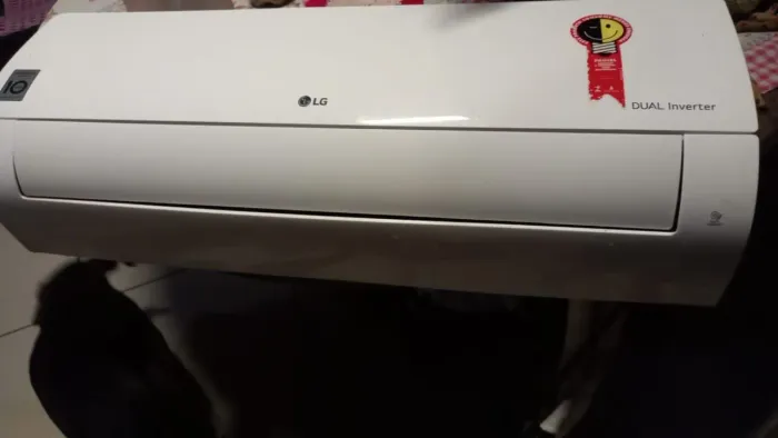 Dual inverter LG