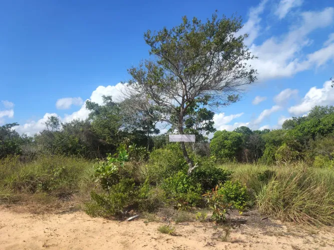 Terreno 10x30 Pajuçara 