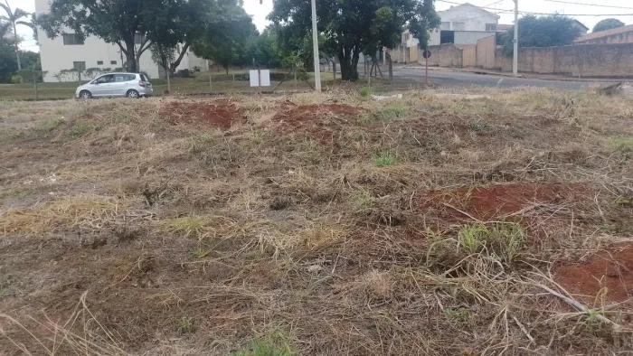 Terreno