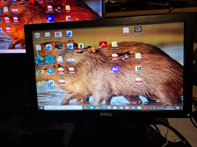 Monitor dell qide 16 polegadas funcionando perfeitamente leia o anúncio
