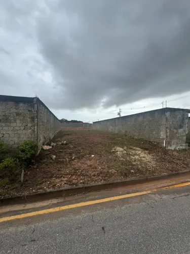 Lote no Bougainville Belem