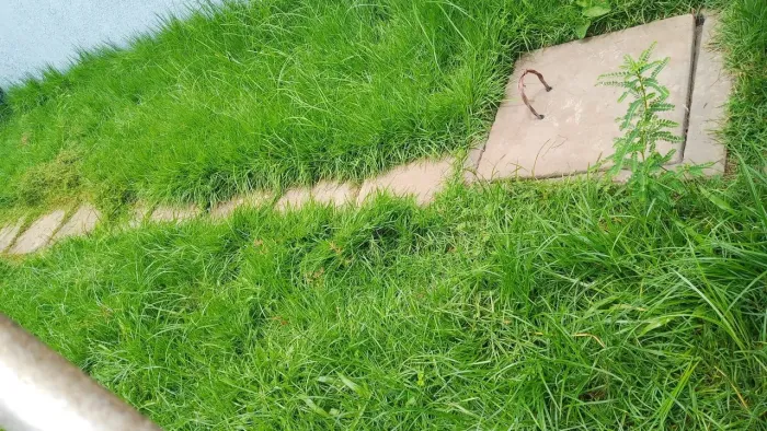 Jardinagem e paisagismo