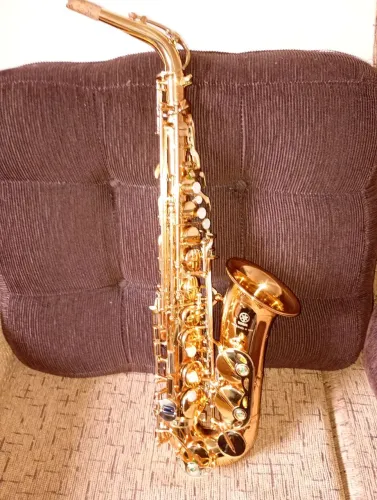 Sax alto Yamaha yas 62 .