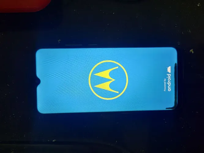 Celular