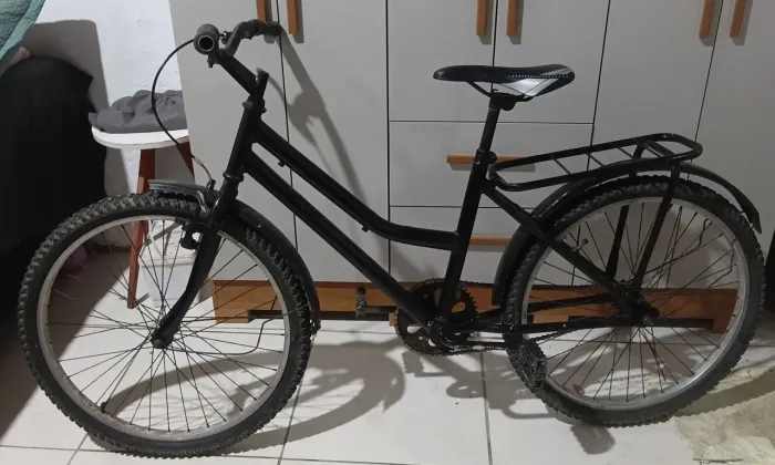 Bicicleta 24