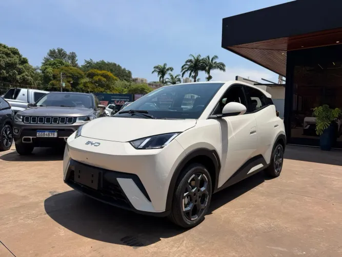BYD Dolphin Mini (Elétrico) 2026