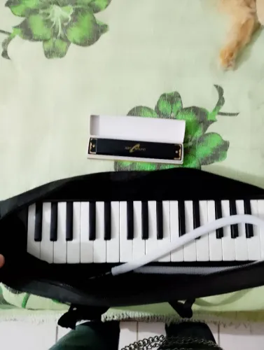 Escaleta Musical melódica + Brinde