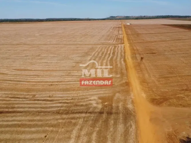 Fazenda Agrícola (2.807 Hectares) Imperatriz - MA